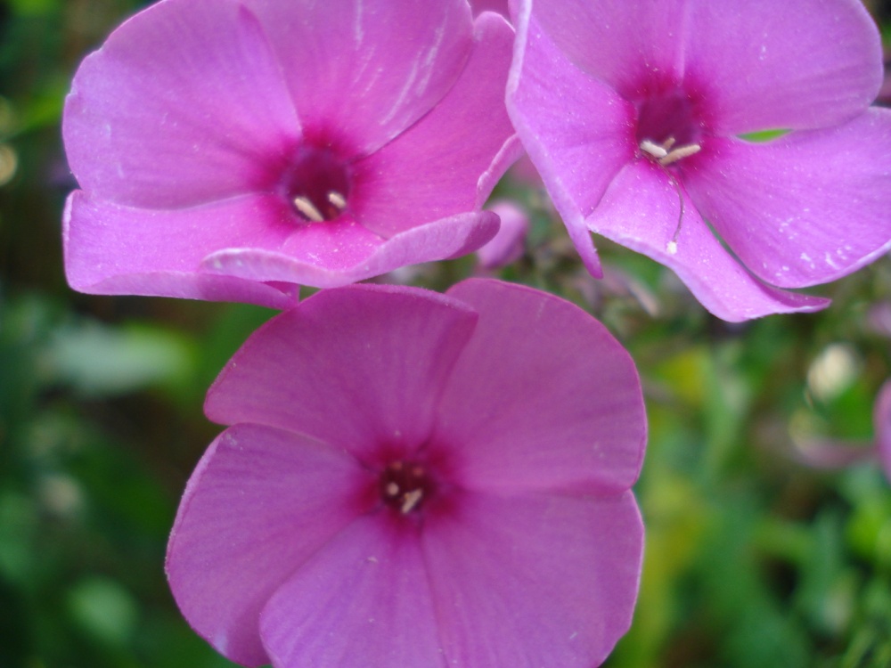 In der Nähe des Hauses