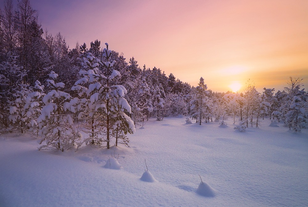 Farbe Dreams of Winter ...