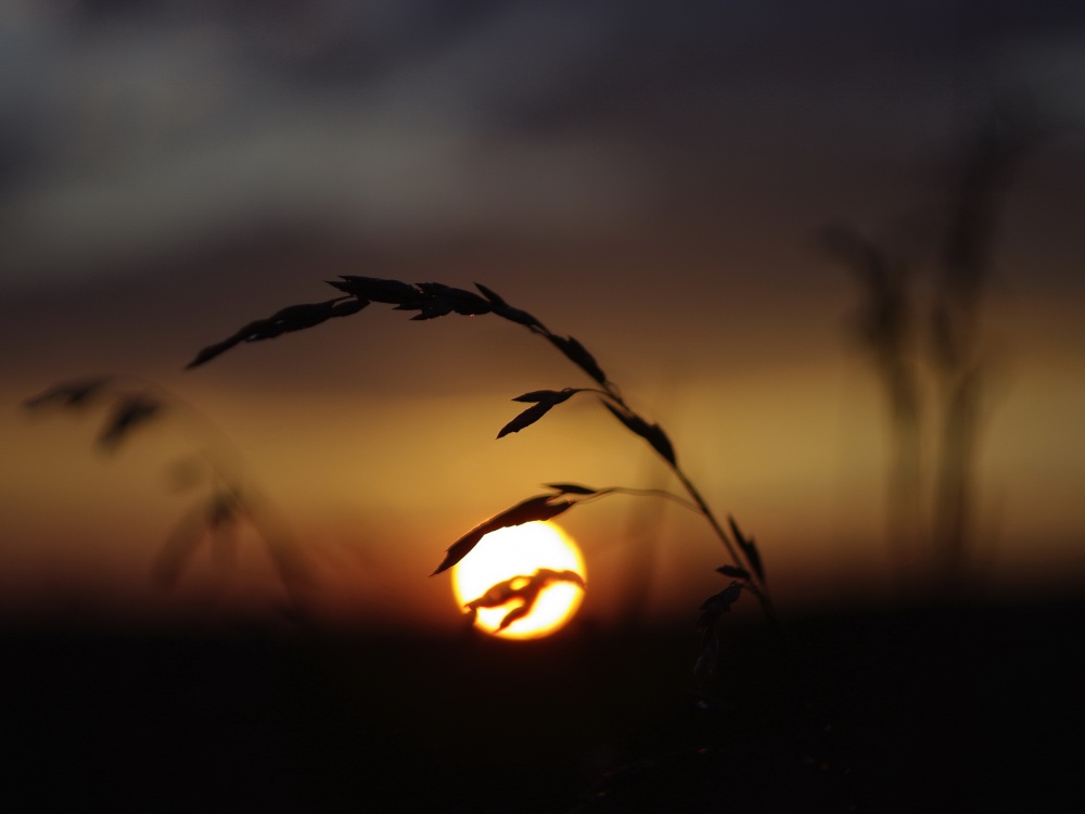 Ein ruhiger Abend ...