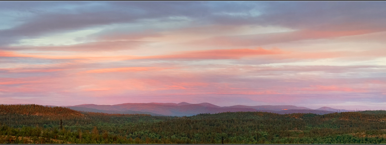 Pink Dreams of the North