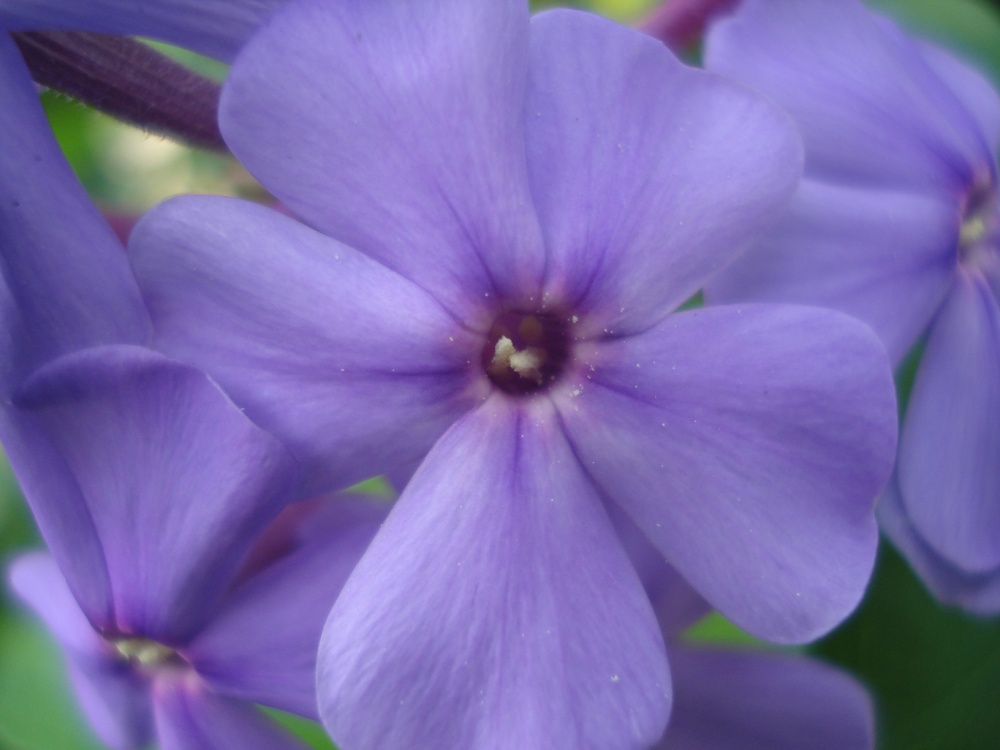 In der Nähe des Hauses