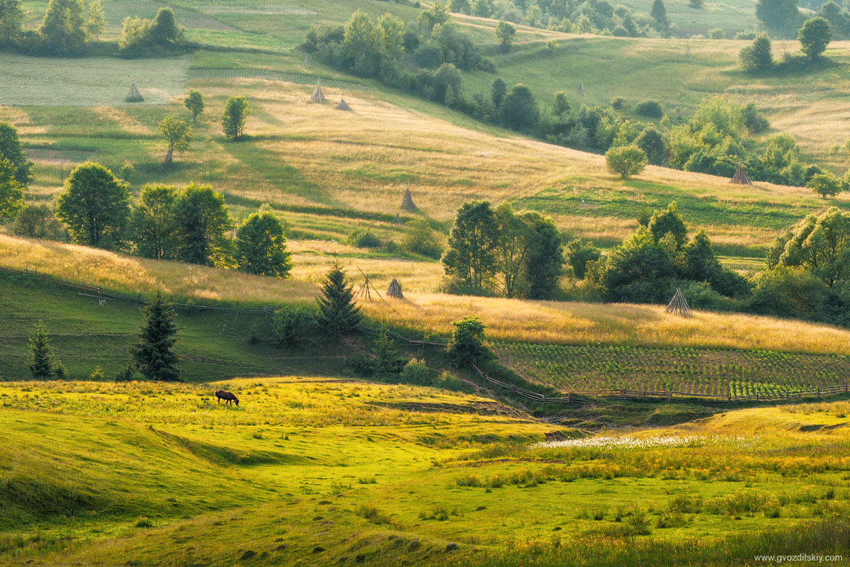 Karpaten-Studie mit drei Beinen Kegelschnitt