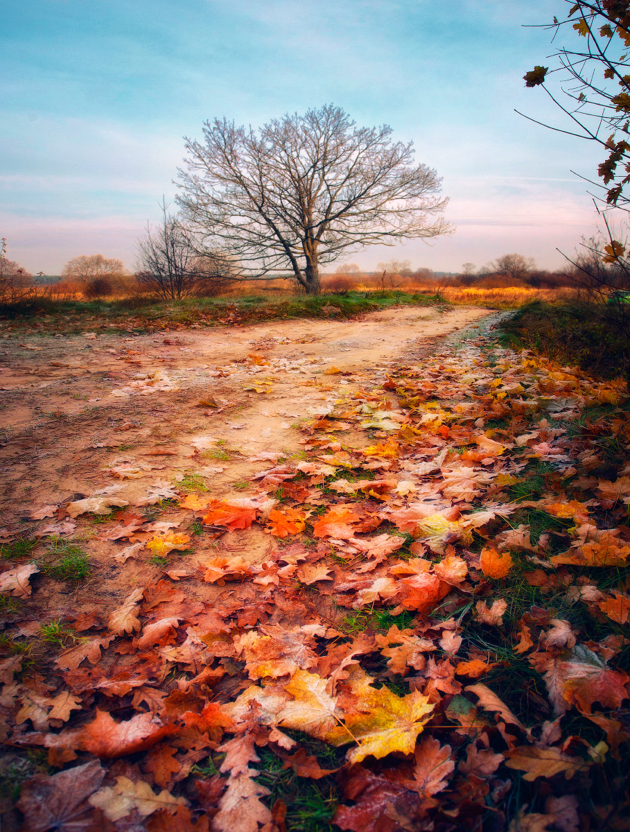 Über den Morgen ... im November ...