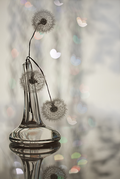 Eine ganz andere Geschichte