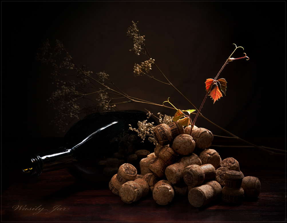 Das Leben wird immer besser ..