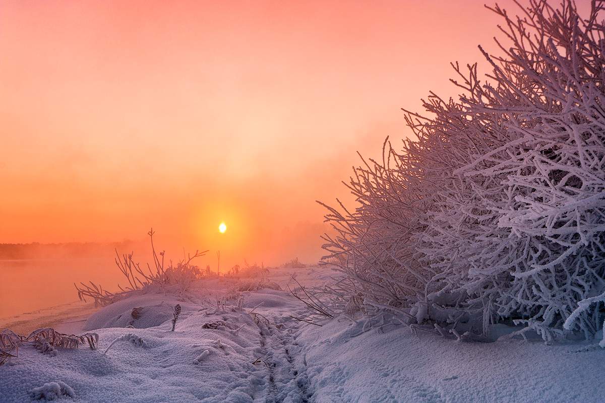 Frosty Februar Morgen zwei