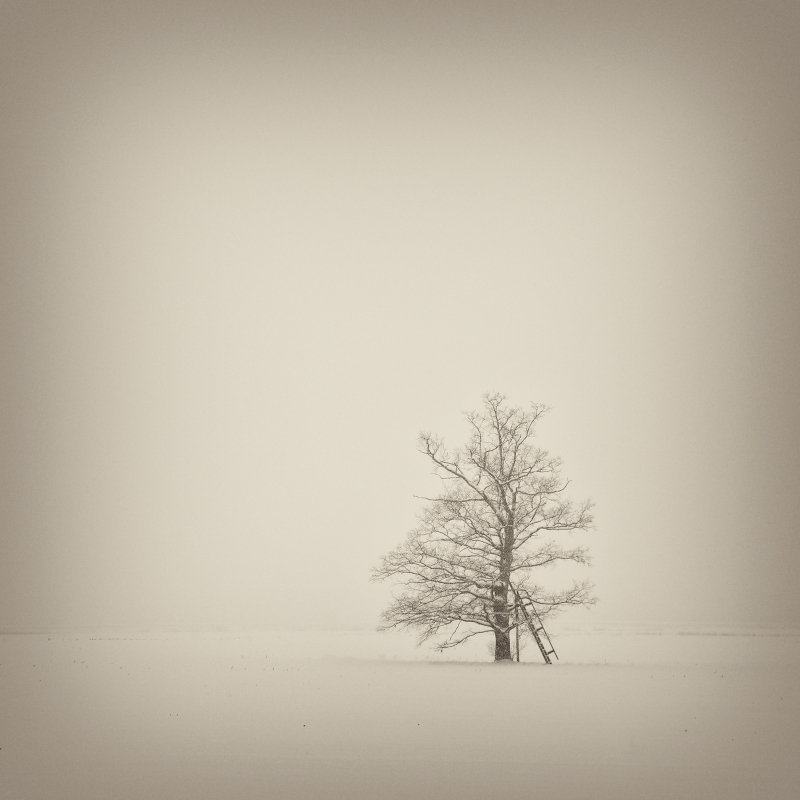 Fallen, fallen, fallen, fallen Schnee ...