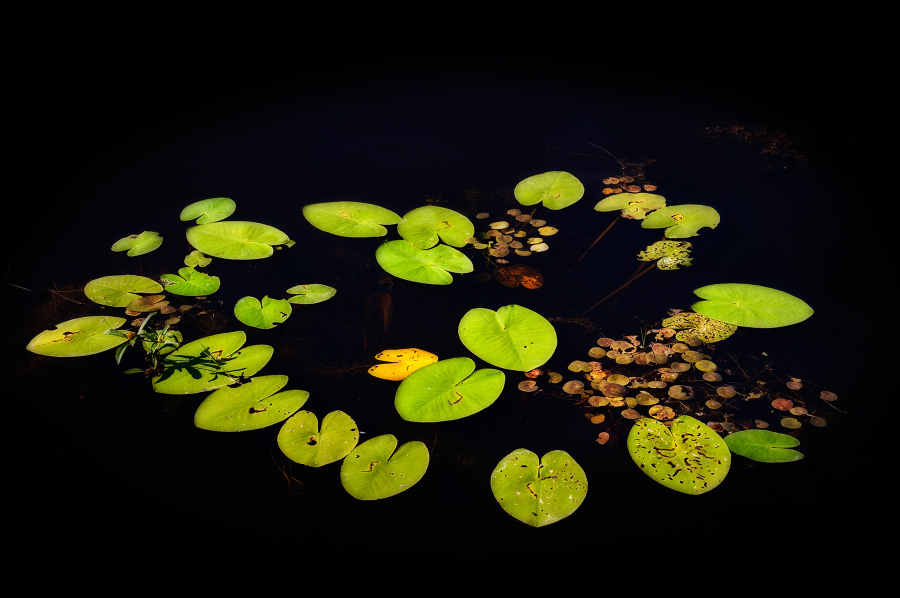 Stille Wasser sind tief