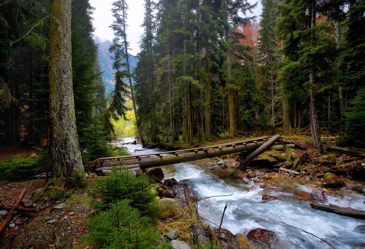Entlang der Gebirgsfluss