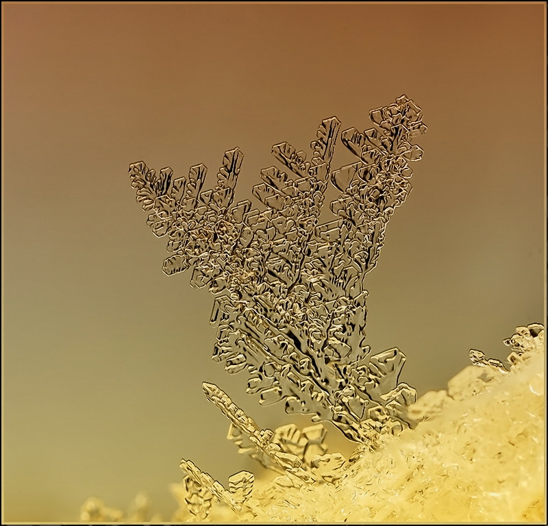 Mandarin Morgengrauen ...