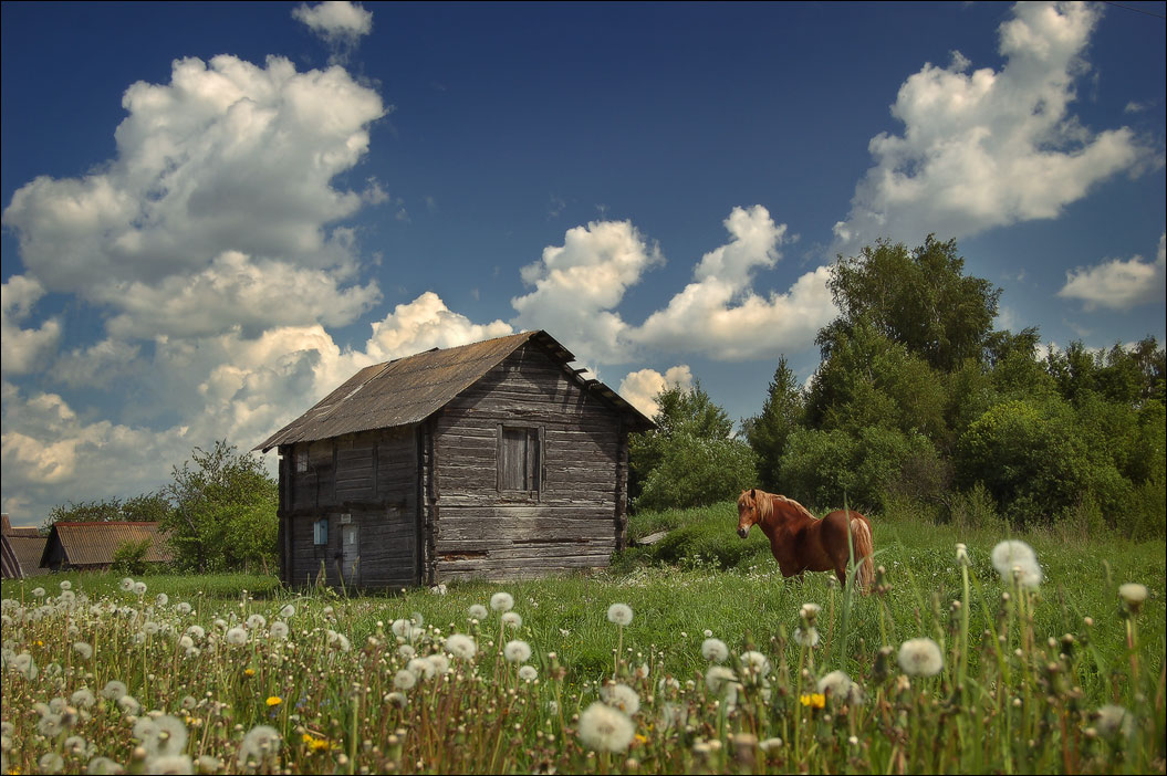 Bald wird der Sommer!