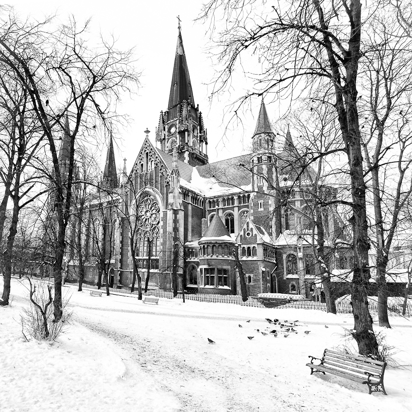 Katholische Kirche und Tauben