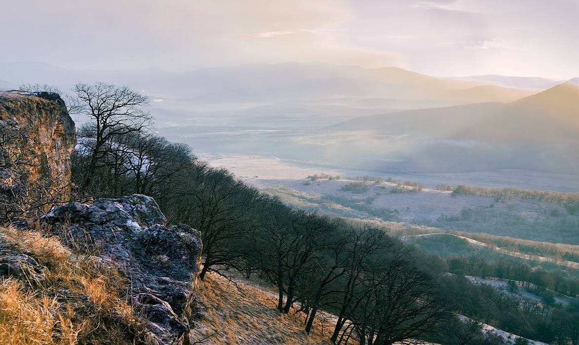 Tal Morgen Dahovskoy