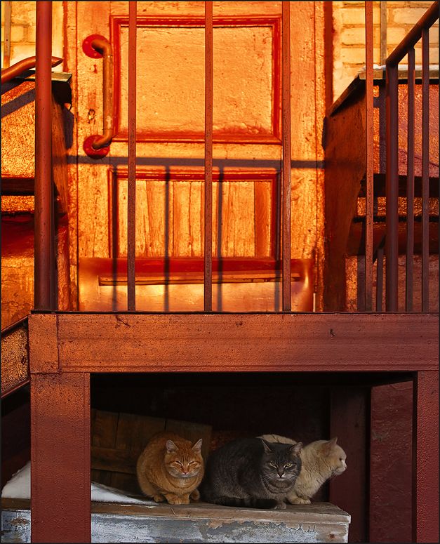 Drei und ein Sonnenuntergang.