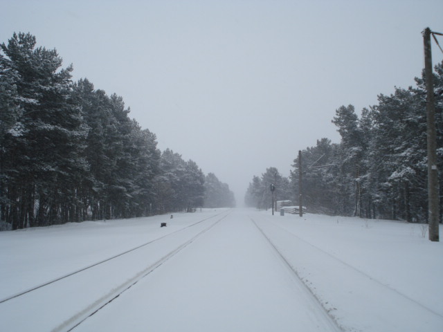 The Road to Nowhere!