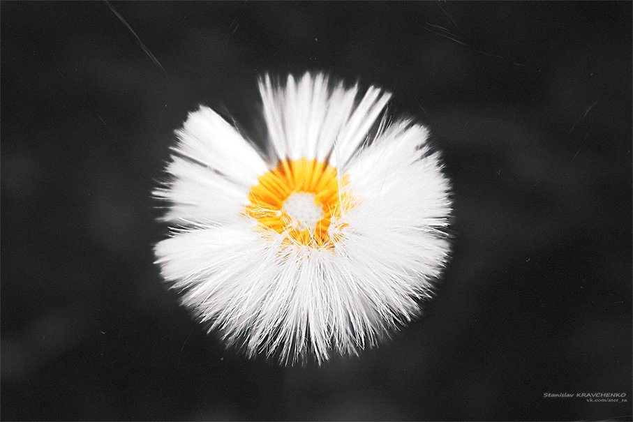 Turning On the Lights