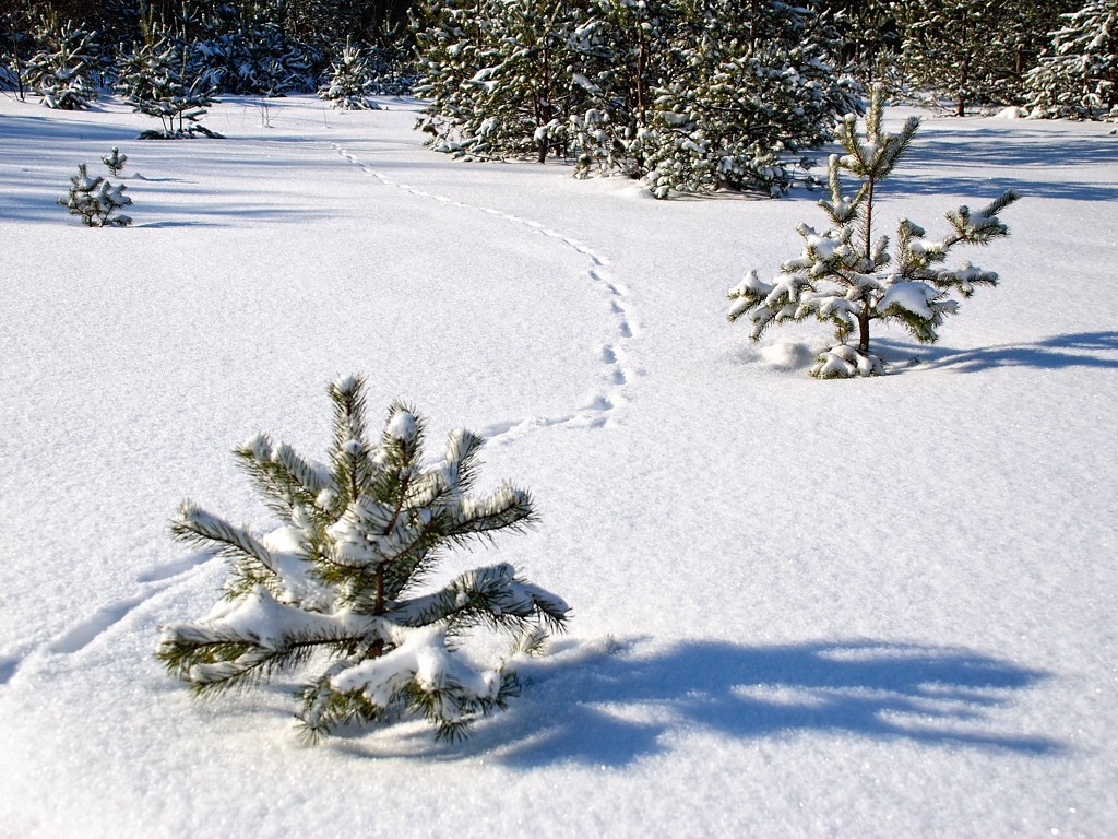 Dort, auf unbekannten Pfaden ...