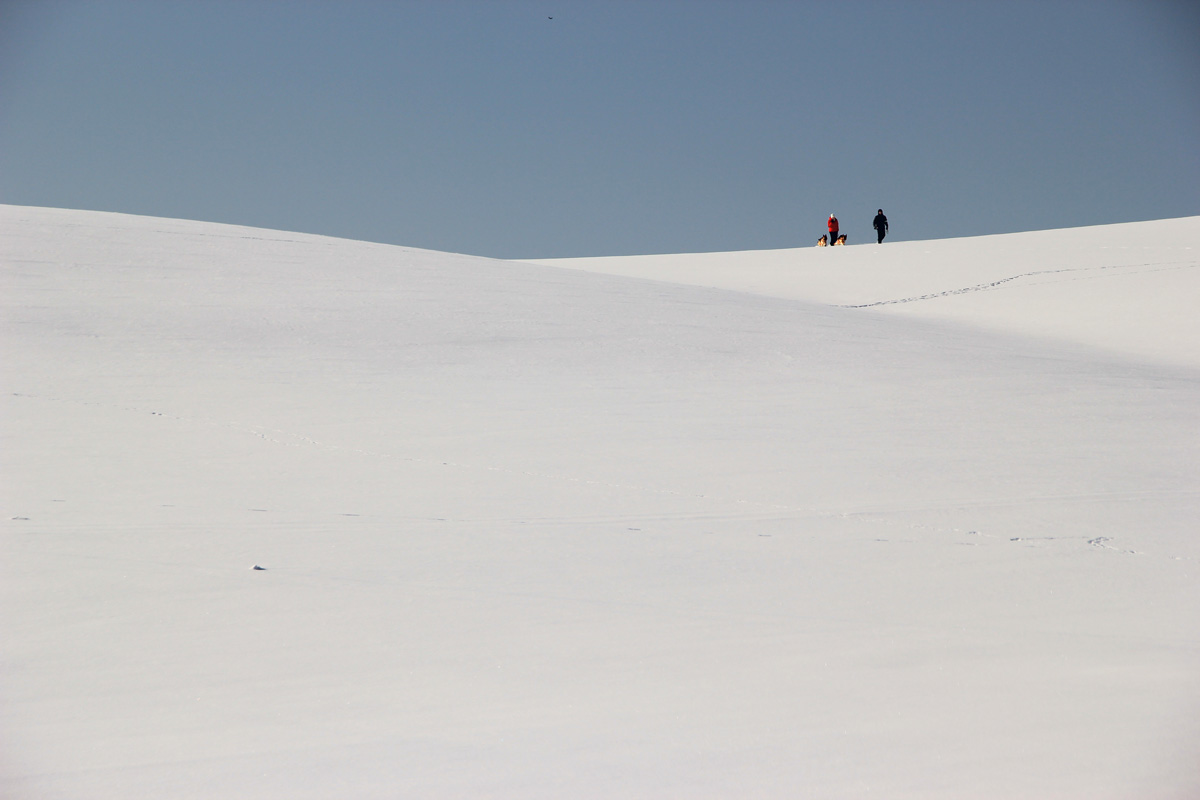 Gehen Sie mit Winter-