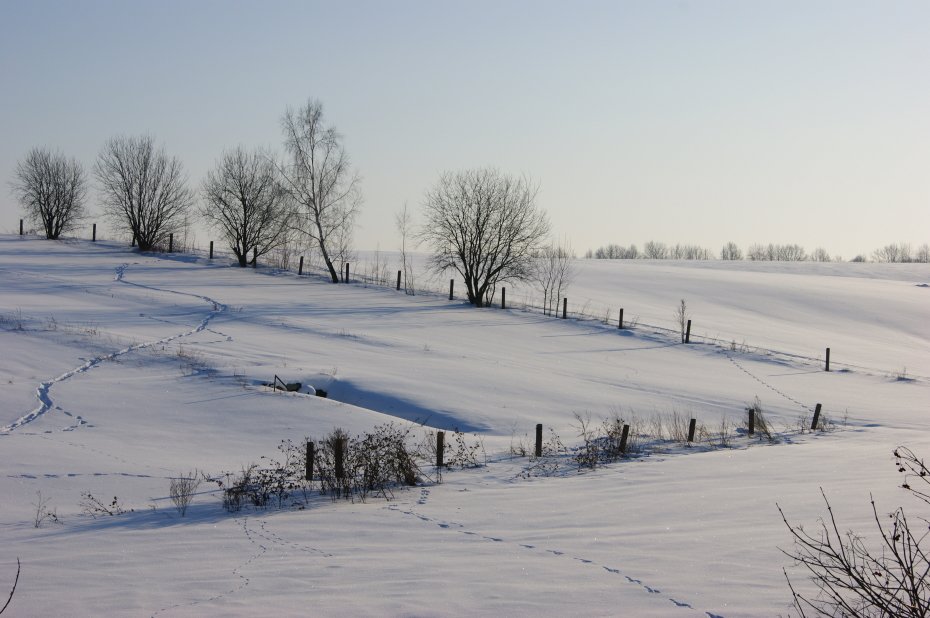 In den Außenbezirken