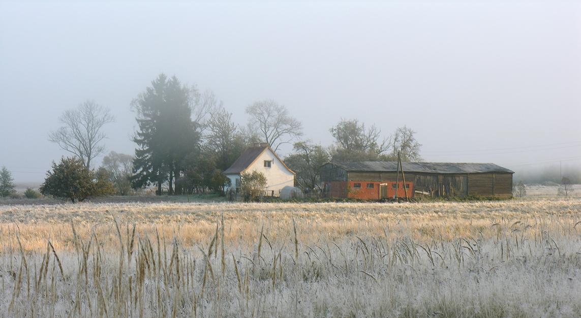 in der Dämmerung Nebel