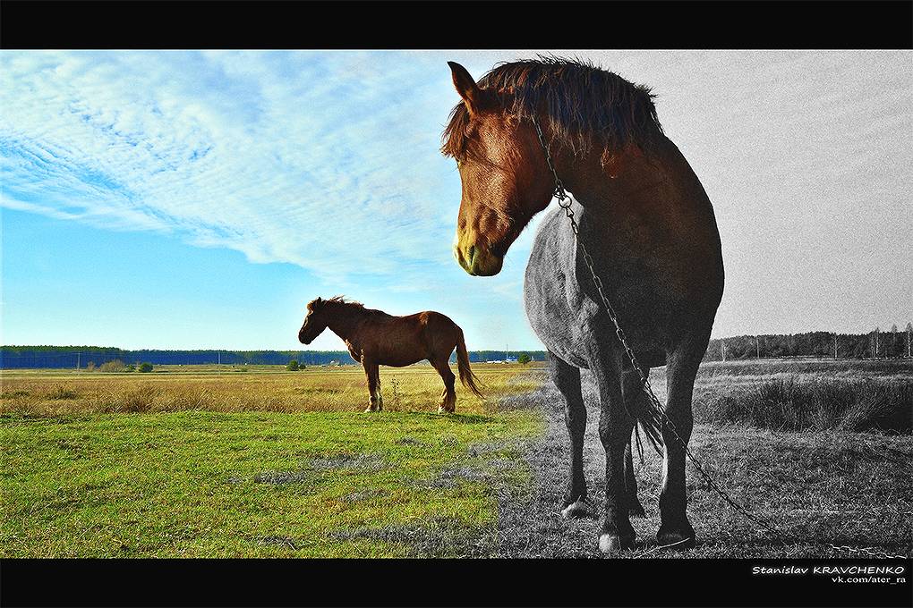 Liebe und Beziehungen