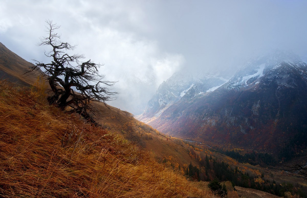 In dem Fall verloren