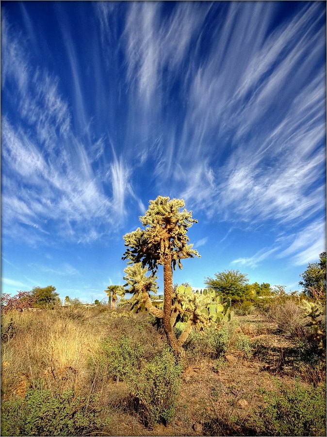 Tucson .. 4. des Himmels