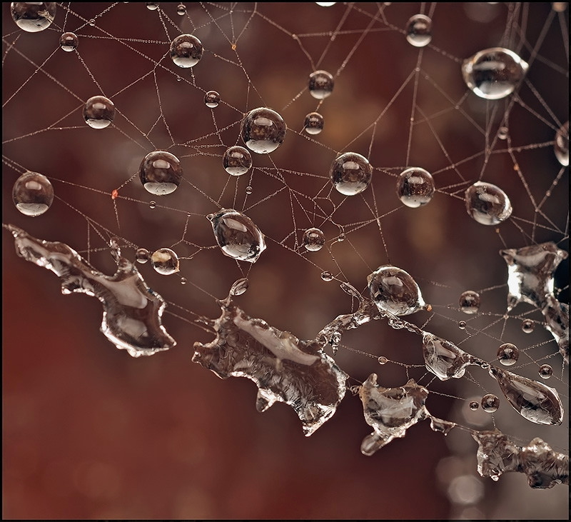 Winter-Echos der Sommerhitze ...