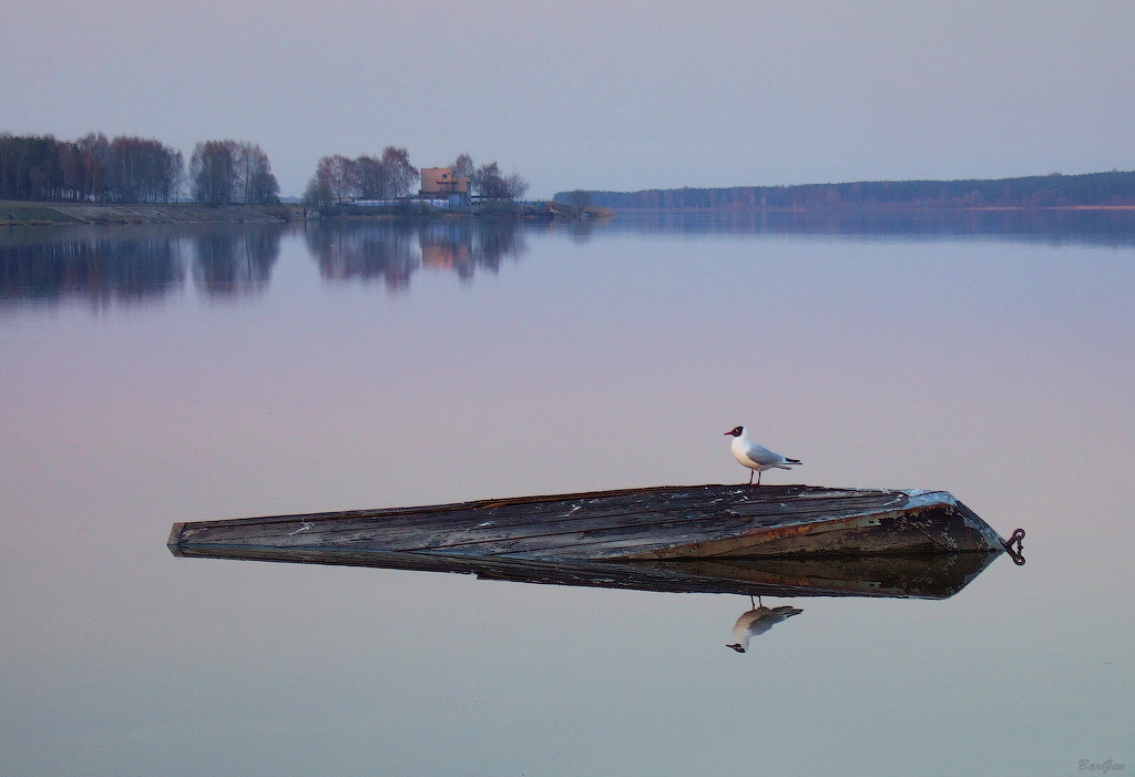 Kapitän der gesunkenen Schiffes