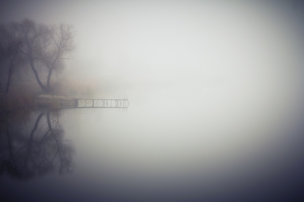 Fog