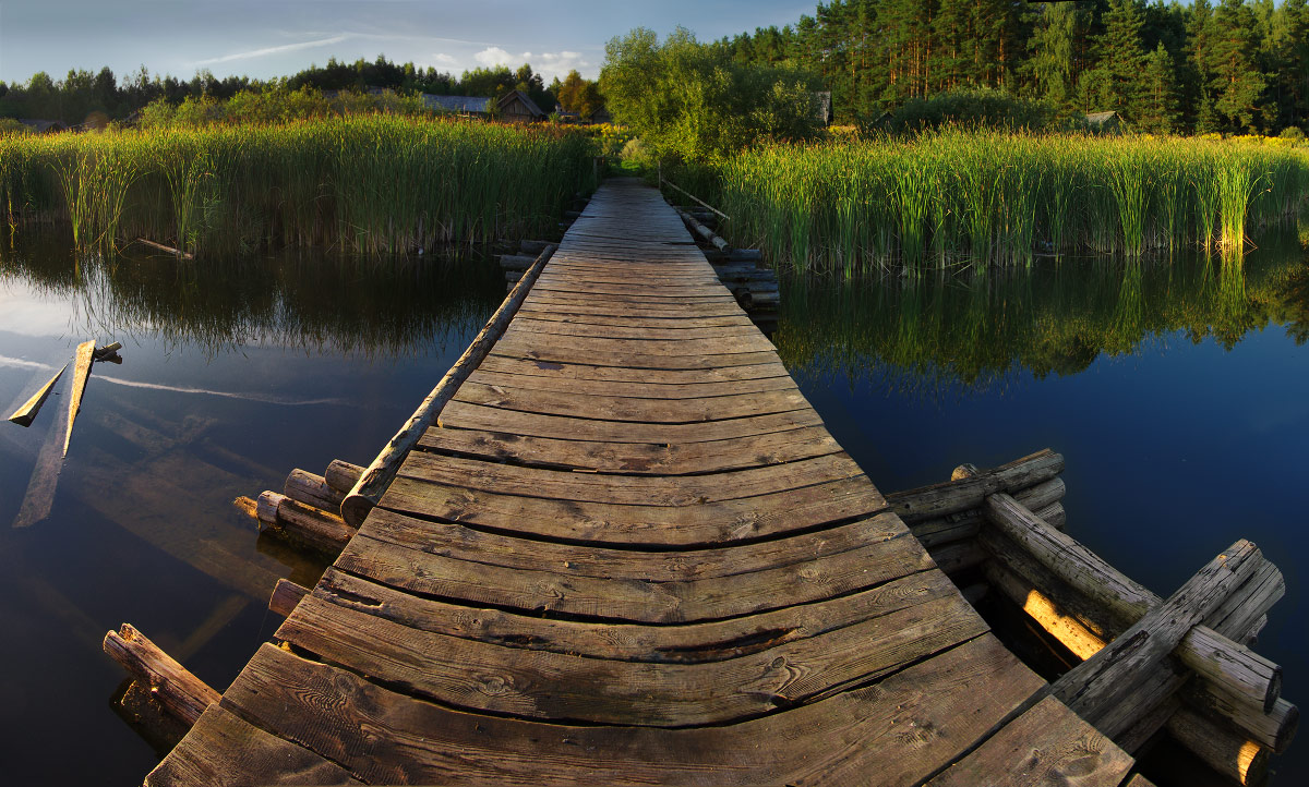 Treten Sie ein in den Sommer