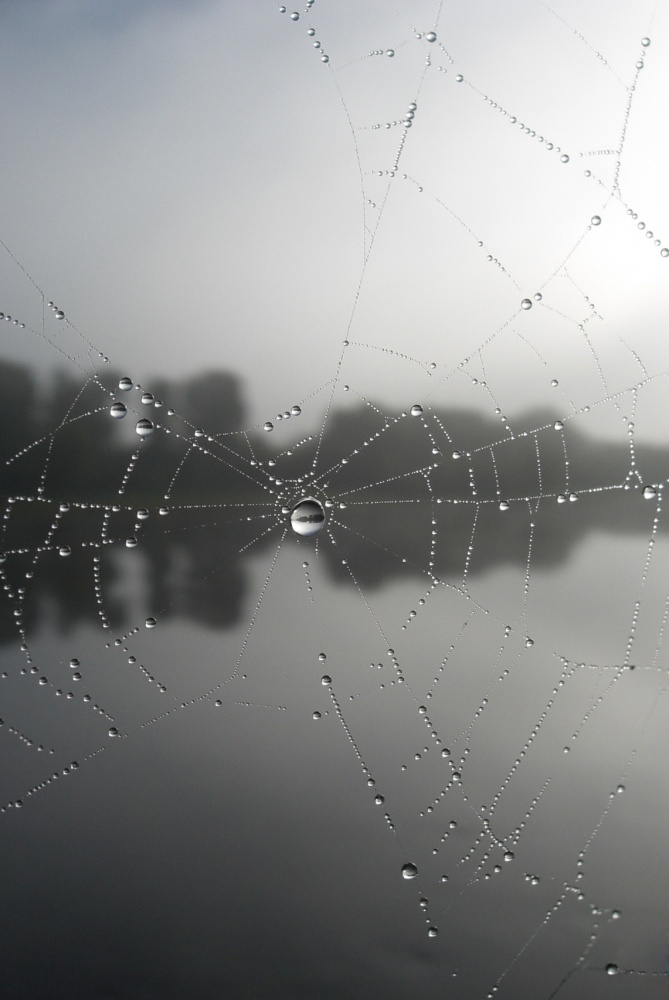 wie ein Tropfen Morgentau ...