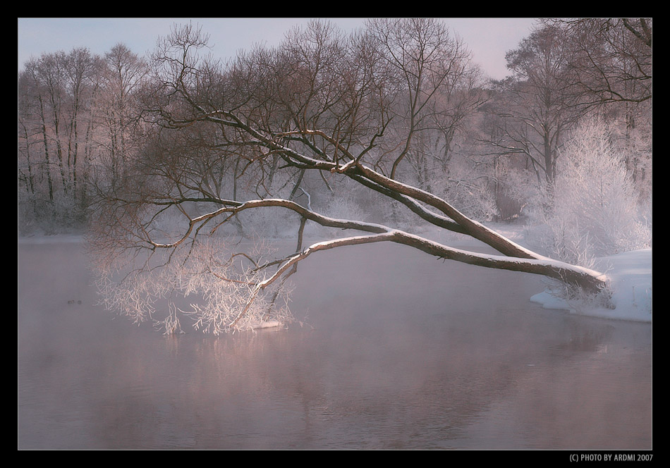 Zwischen Himmel und Erde