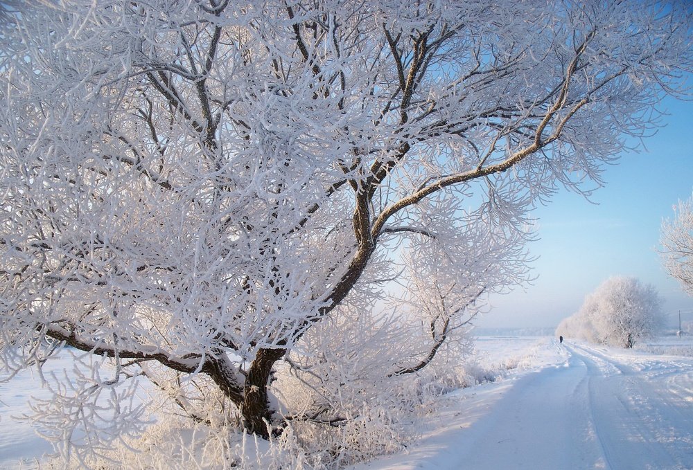 Winter in seiner Gestalt