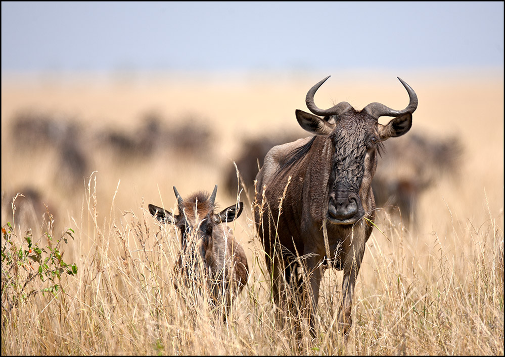Unsere Augen gekreuzt