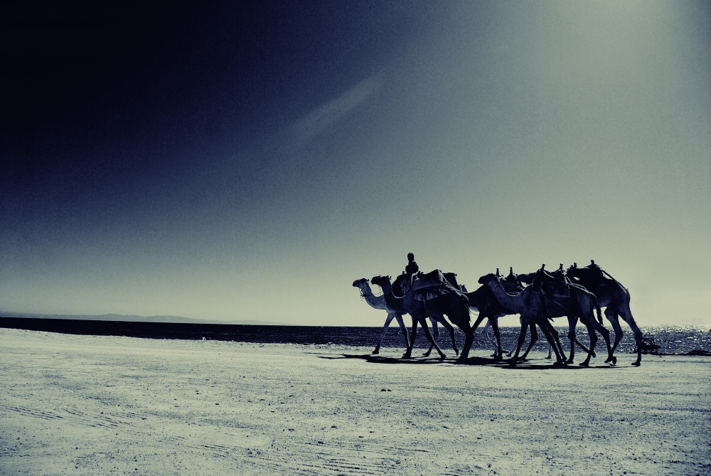 5 - jährige Wohnwagen