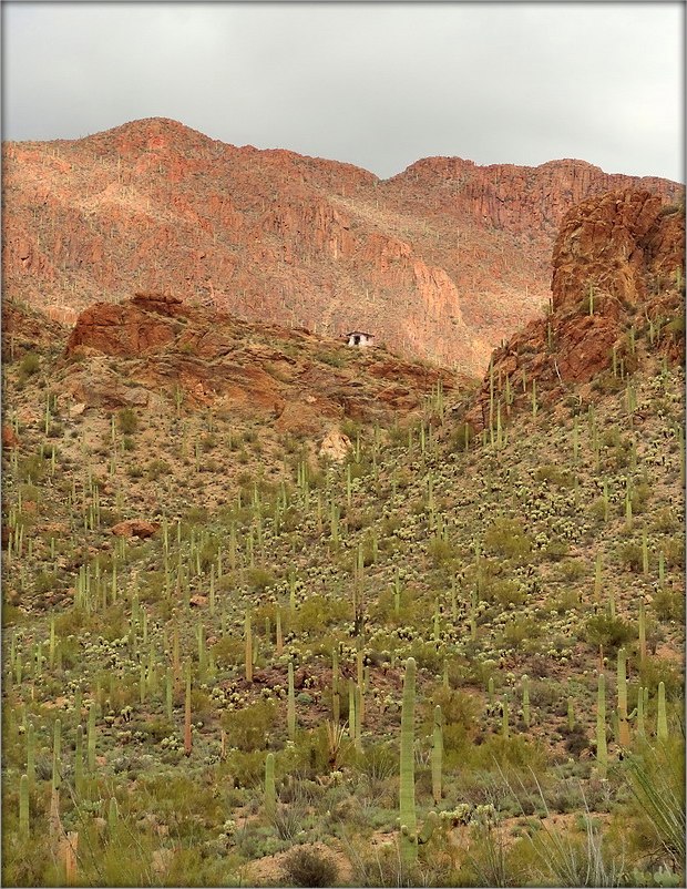 Tucson .. 6. Highland Park