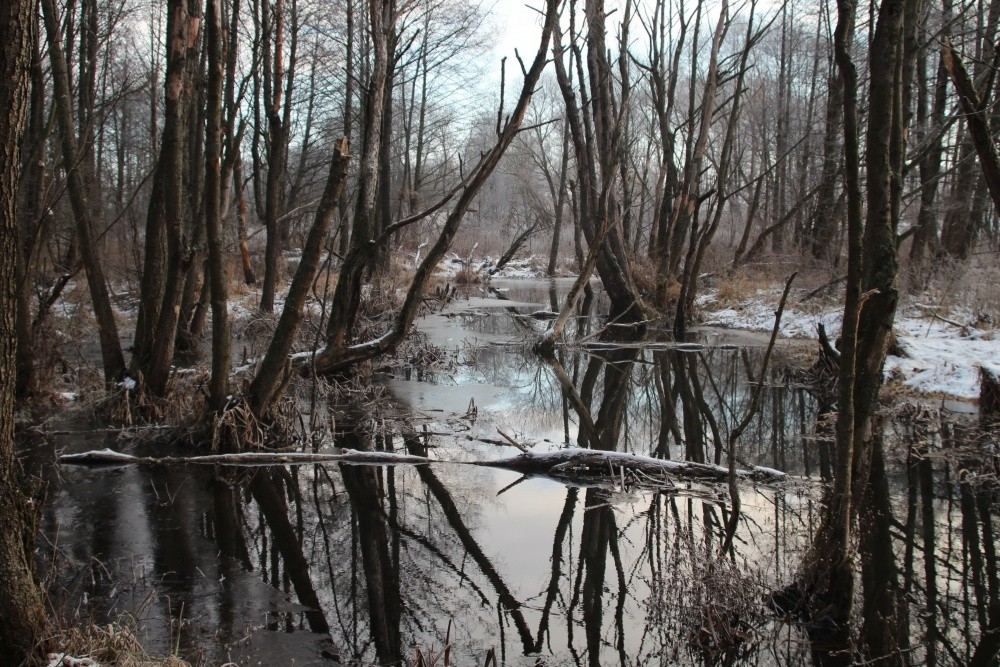 Es winkt seine Behinderung