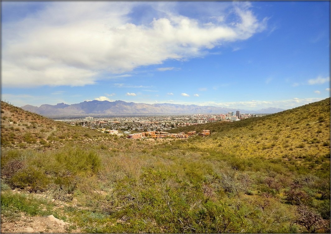 Tucson .. 7. Stadt der Sonne