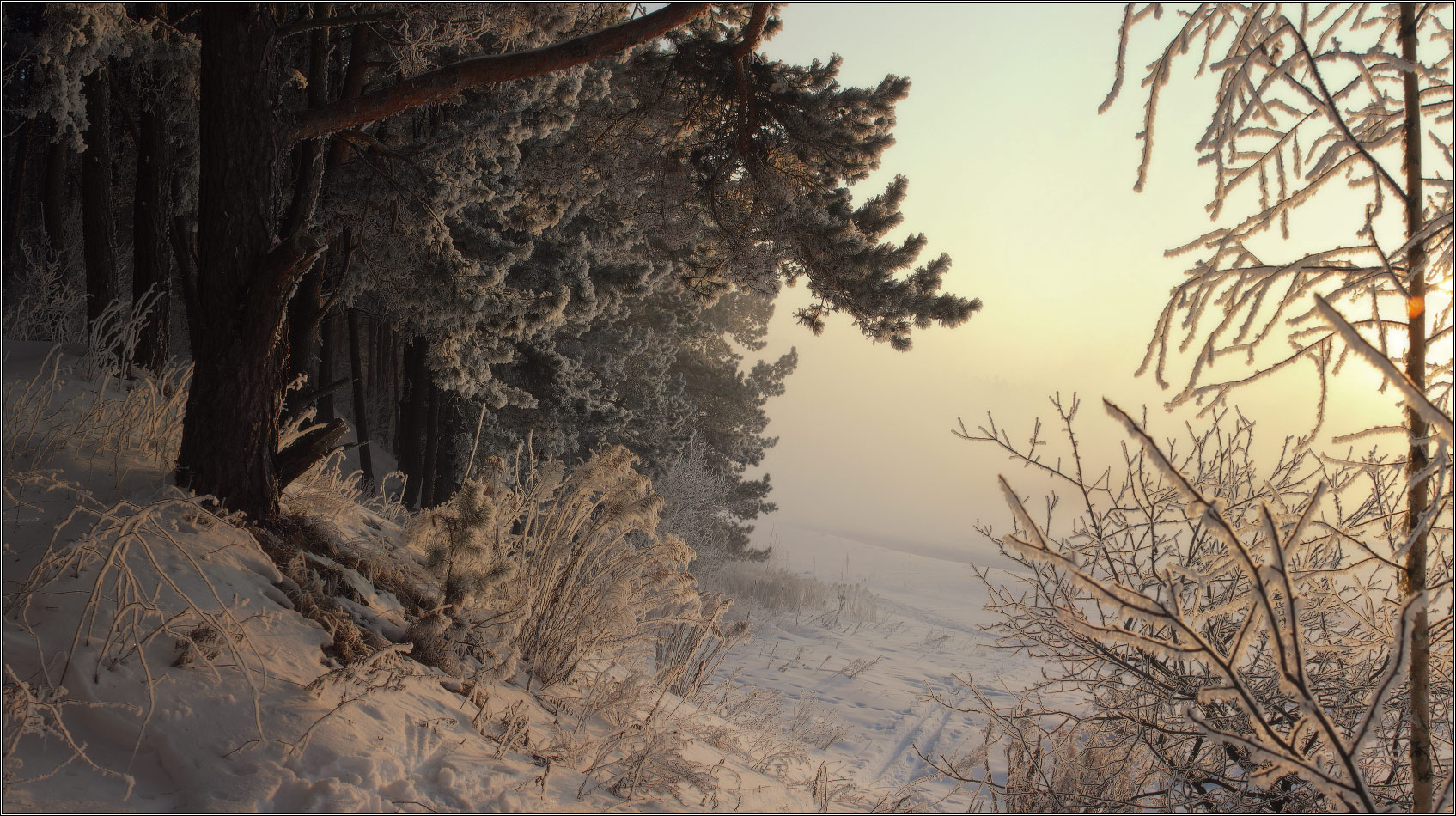 Auf dem Weg zum Morgengrauen
