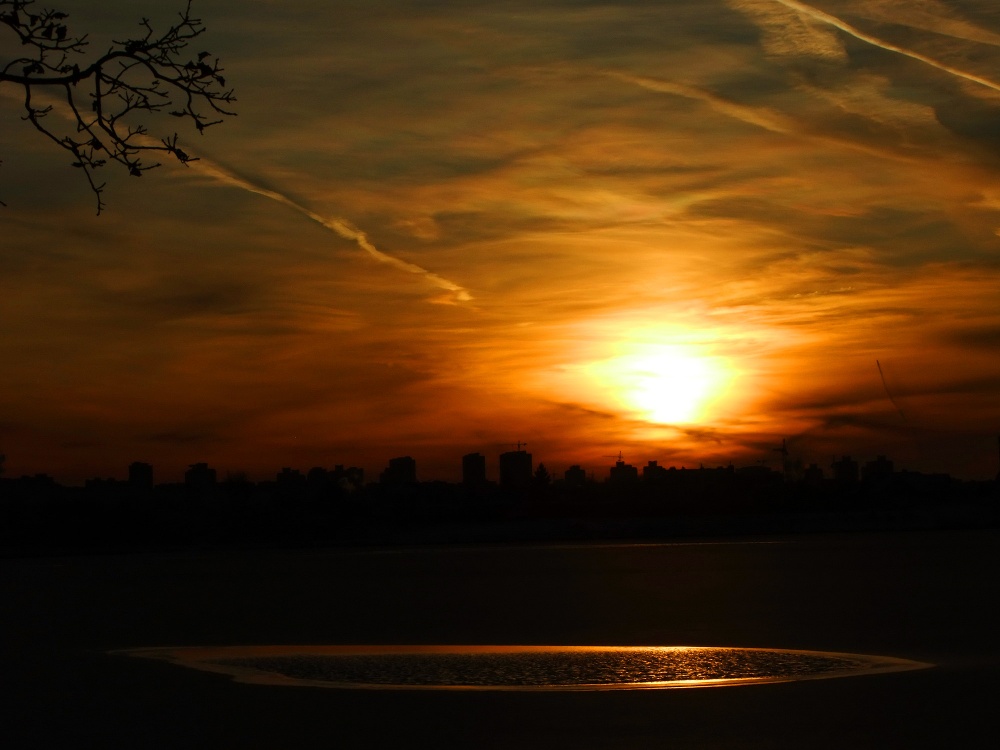 Sonnenuntergang mit Wermut