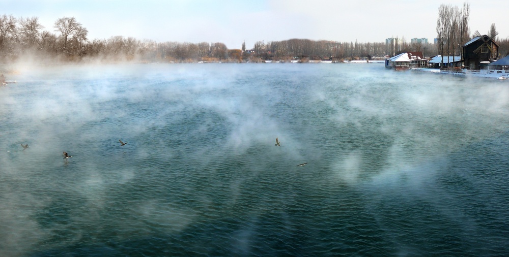 Fliegen in den Wolken des Milch