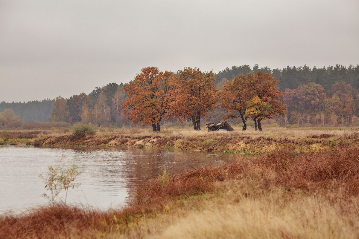 Herbst an der Beresina