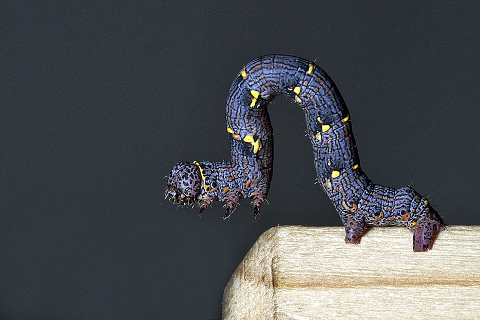 Schritt in den Abgrund