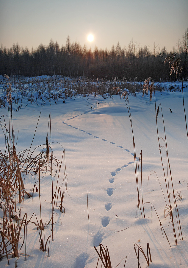 Der Lauf der Sonne :)