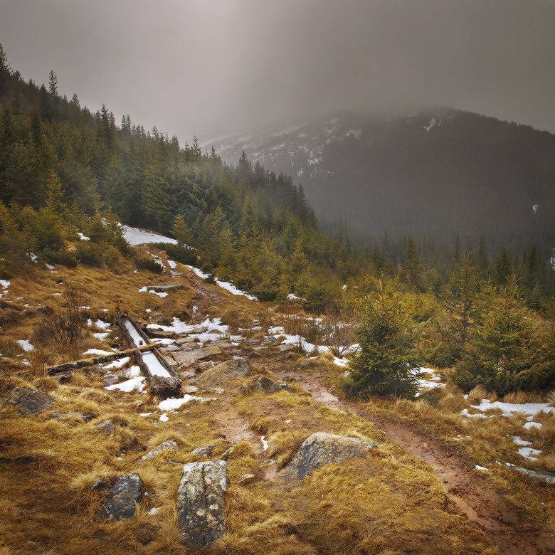 Vuhaty Spur auf dem Felsen ...