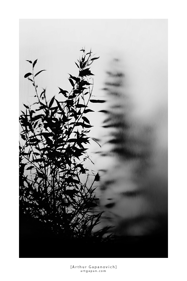 [ Surreal Reflection ]