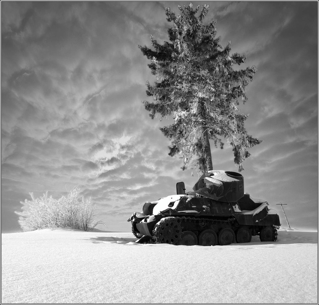 "Echoes of the Past"