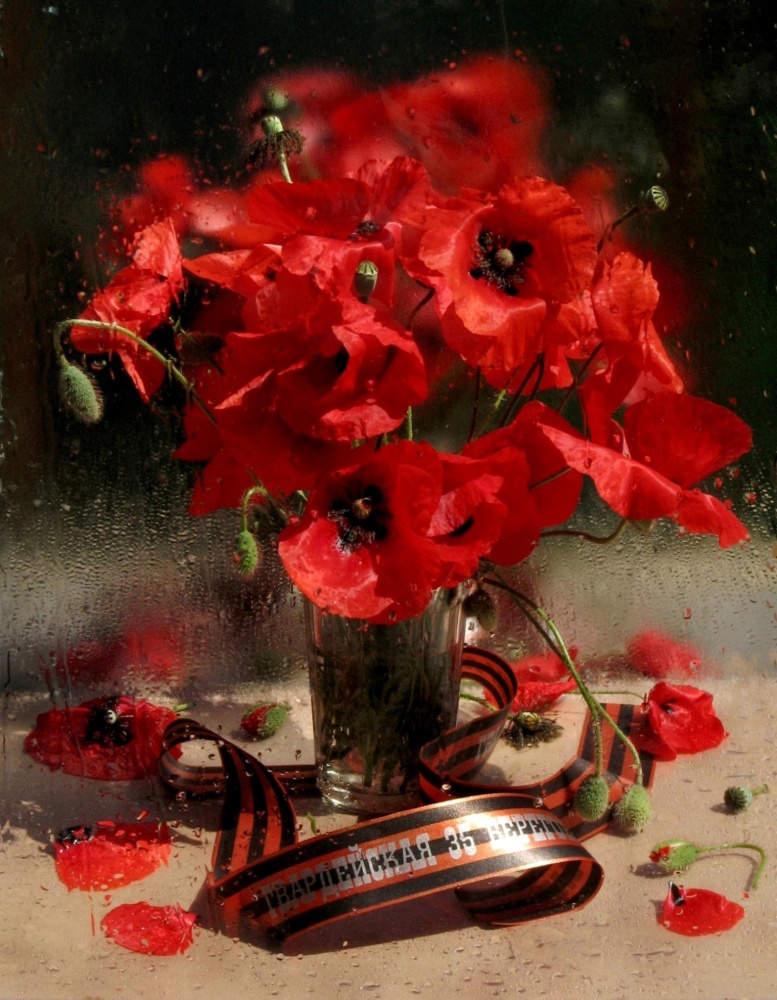 Alles Gute zum Verteidiger des Vaterlandes!