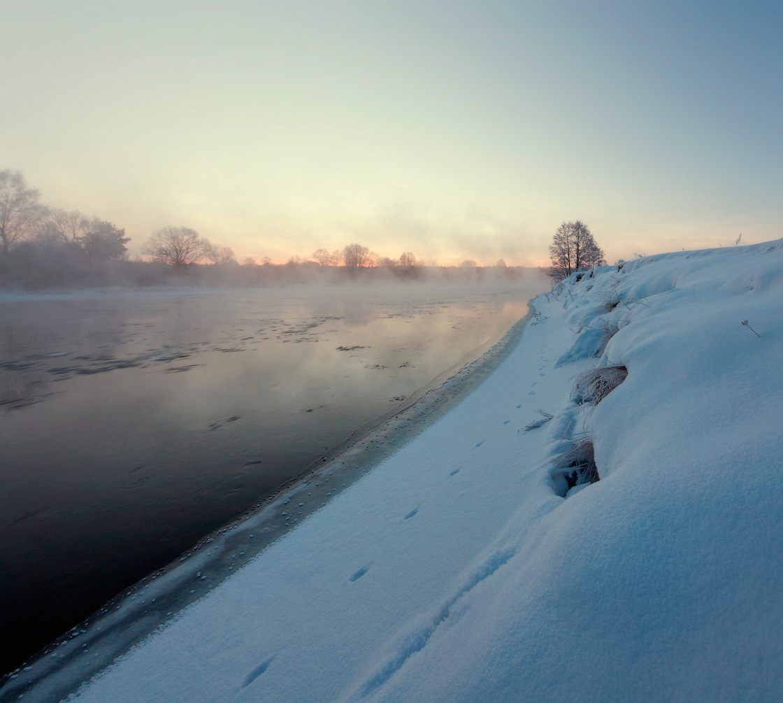 Fuchs auf der Spur ...